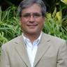 M Melendez-Mangual's profile picture