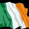 Irish Patriot Movement 🇮🇪's profile picture