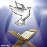 د.صخر الشريوفي profil fotoğrafı