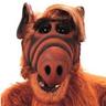 Фото профиля Alf is back