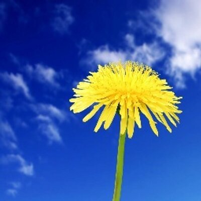 cmk2wl's profile picture