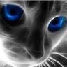 The Cats Mother's profile picture