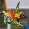 abubander25's profile picture