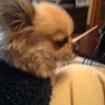 まめちゃん's profile picture