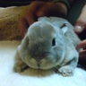 ちゃーくん's profile picture