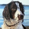 Profilbild von Katherine Cromwell