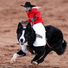 El Mono Vaquero's profile picture