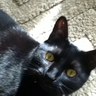 Фото профиля Lorraine Gardner 🐈⬛🐾🐿️⚽️💿🌎🦩🦥🦋🎱🫏