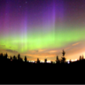 Фото профиля Kristine Hickey