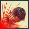 Soni Ardiansyah's profile picture