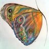 Фото профиля Badryia