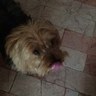 Profilbild von cesar ga