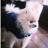 saito yuriko's profile picture