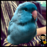Eduardo Mendez 📼's profile picture