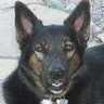 Deb Beetem LaRoche ن's profile picture
