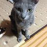 ソナリPC🥺 profil fotoğrafı