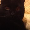 @|e's profile picture