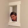Profilbild von Scott