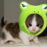 暇でミク's profile picture