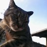 aoyamaeri's profile picture