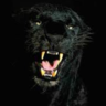 yao dupré's profile picture