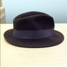 M Allen's profile picture