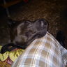 Profilbild von Doorman1207