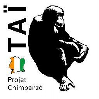 Taï Chimpanzee Project's profile picture