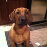 Фото профиля Jake