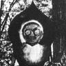 Profilbild von ハマハマ