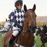 Profilbild von kate hills