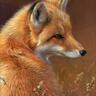 EIFY's profile picture