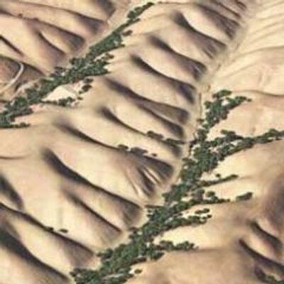 The Perron Group at MIT's profile picture
