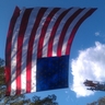 Lincoln Stewart's profile picture