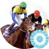 Profilbild von Turf Premium