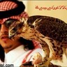 Profilbild von عادل الحربي