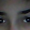 Los Zgegos's profile picture