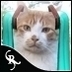 Profilbild von JAN (mix作業中)