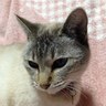 Profilbild von ゆう王子
