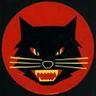 Mac Cacus's profile picture