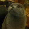 HANDSOME MAN's profile picture