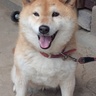Saori ็ๅคดๅ