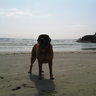 gregory l warwa's profile picture
