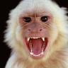 Profilbild von Dan Wright