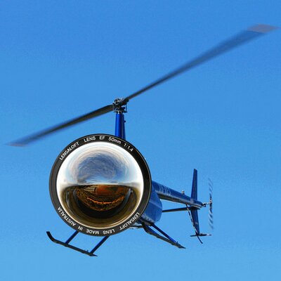 Lensaloft's profile picture