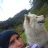 Profilbild von daniel