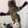 Profilbild von どんどん