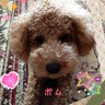cumi 的头像
