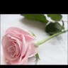 Profilbild von هدوء