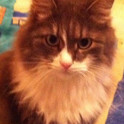 bulgari1971's profile picture